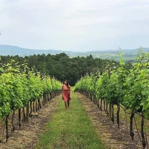 Meet your Posher, Kira